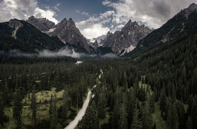 Scenic view of pine trees and mountains against cloudy sky