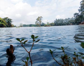 Scenic view of lake against sky