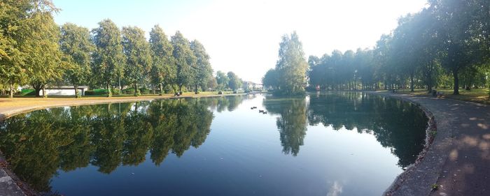 Reflection of trees in water