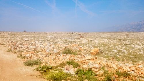 Scenic view of landscape against clear sky