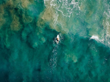 Aerial view of man surfing in sea