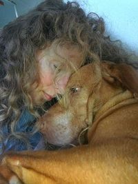 Close-up of dog sleeping