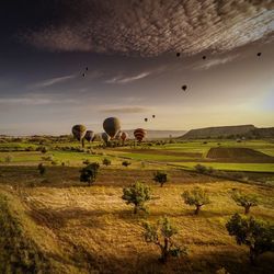 Scenic view of field against sky during sunset