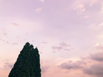 Low angle view of silhouette tree against sky at sunset