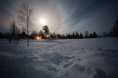 Sun shining over snow covered landscape