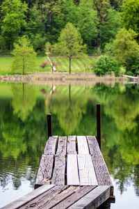 Pier over lake in forest