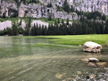 Scenic view of lake against trees