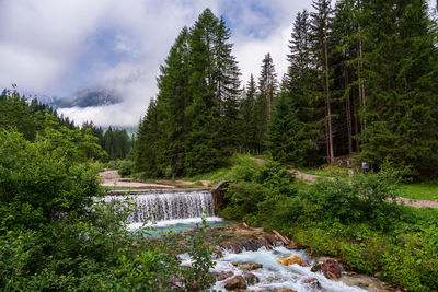 River in the forest in the dolomites