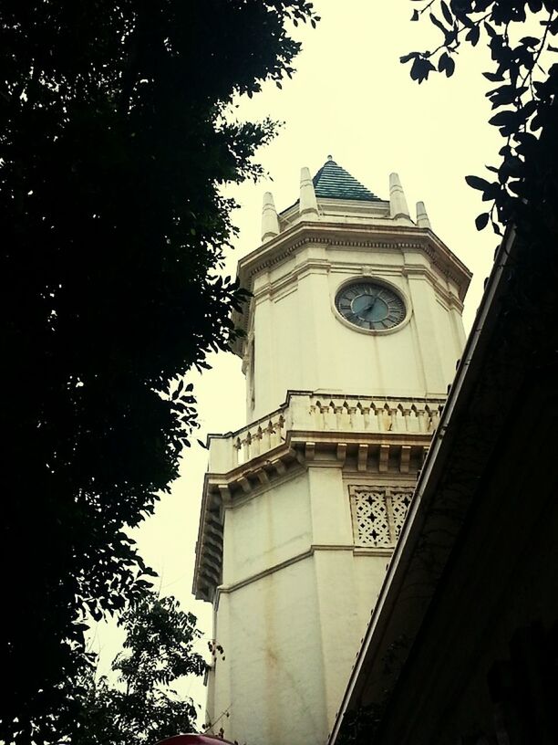 architecture, building exterior, low angle view, built structure, tree, church, clear sky, religion, place of worship, branch, tower, clock tower, spirituality, sky, outdoors, high section, no people, window