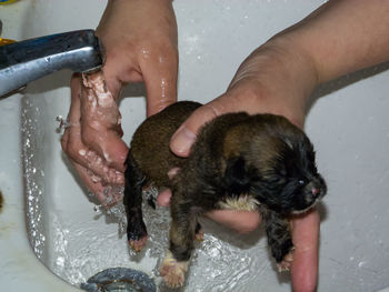 Cropped image of hand touching water