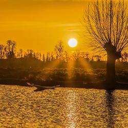 Silhouette tree by lake against sky during sunset