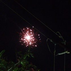 Low angle view of illuminated ferris wheel