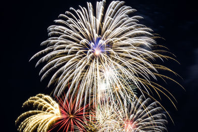 Low angle view of firework display at night