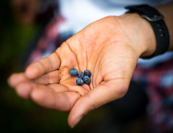 Close-up of man holding blueberries