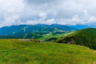 environment