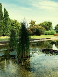 Scenic view of lake against sky