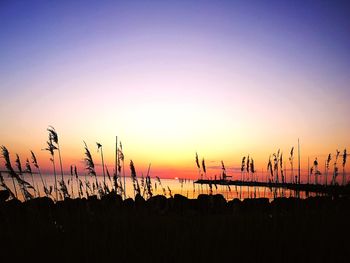 Silhouette plants by sea against sky during sunset