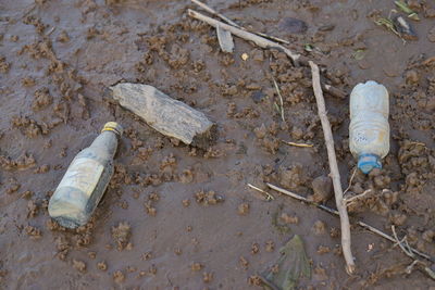 High angle view of fallen tree on field