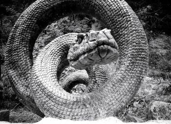 Close-up of snake sculpture