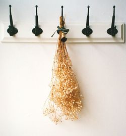 Close-up of ice cream hanging on white