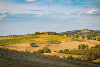 Scenic view of farm against sky