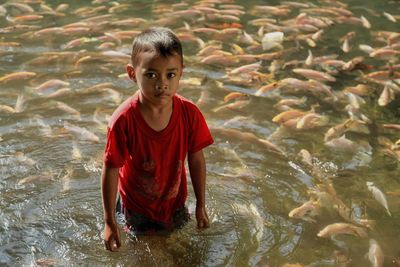 Portrait of boy swimming in water