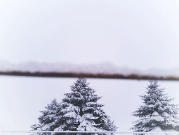 Trees on snow covered landscape against sky