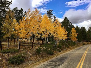 Road amidst trees against sky during autumn