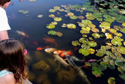 Woman swimming in lake