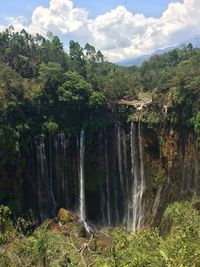 Scenic view of waterfall in forest