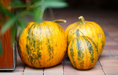 Close-up of pumpkins on table