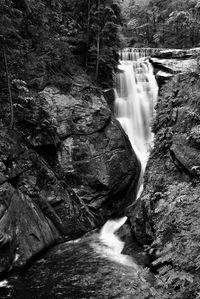 View of waterfall in forest