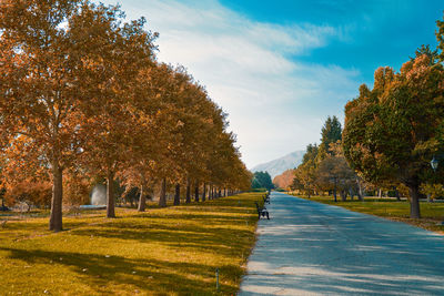 Road amidst trees against sky during autumn