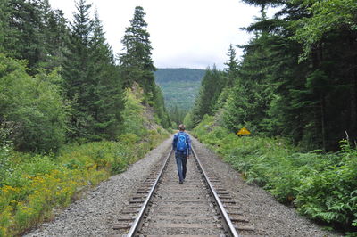 Rear view of person on railroad track amidst trees against sky