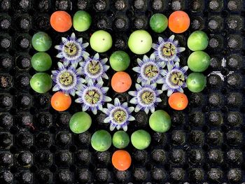 Close-up of multi colored flowers