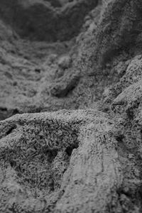 Close-up of stone wall