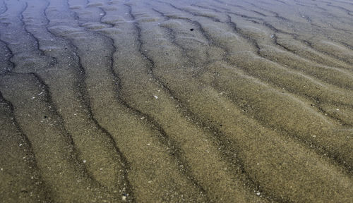 Full frame shot of sand at beach