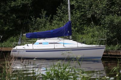 Boat moored on lake against trees in forest