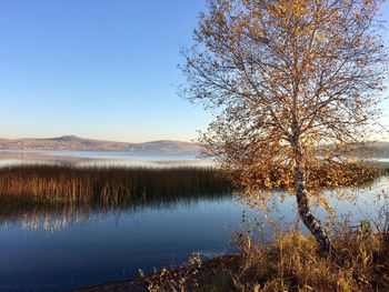 Scenic view of lake against clear blue sky