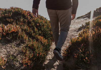 Low section of man standing on field