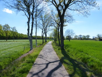 Dirt road amidst trees on field against sky