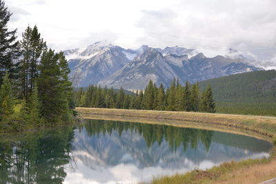 Reflection of trees in lake during winter