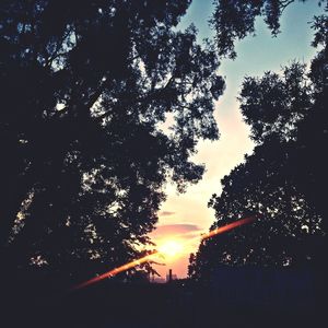 Low angle view of silhouette trees against sky at sunset