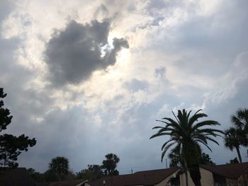 Low angle view of silhouette palm trees against sky