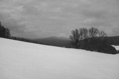 Trees on snow covered field against sky