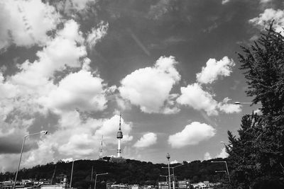 Trees against sky