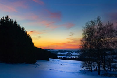 Silhouette trees on snow covered land during sunset
