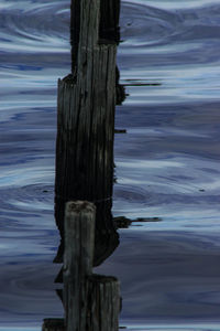 Wooden posts in river