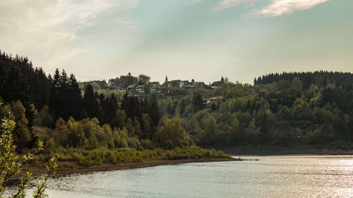 Scenic view of river in forest against sky