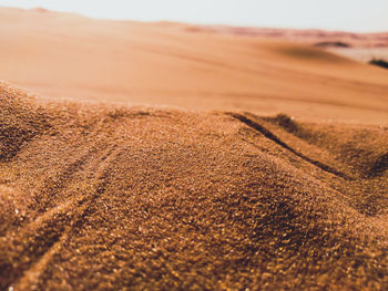 Surface level of sand dunes in desert